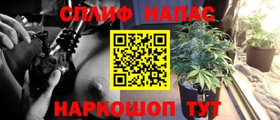 прущие крисы Нягань